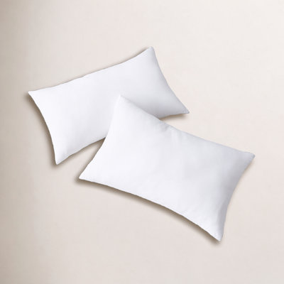 Sleep by Wayfair™ Polyester Pillow