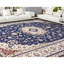 Oriental Area Rug-70212489