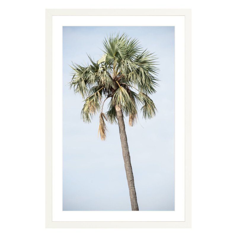 Tanzanian Palm by Amanda Anderson, White, 42" H x 28" W x 2.25" D