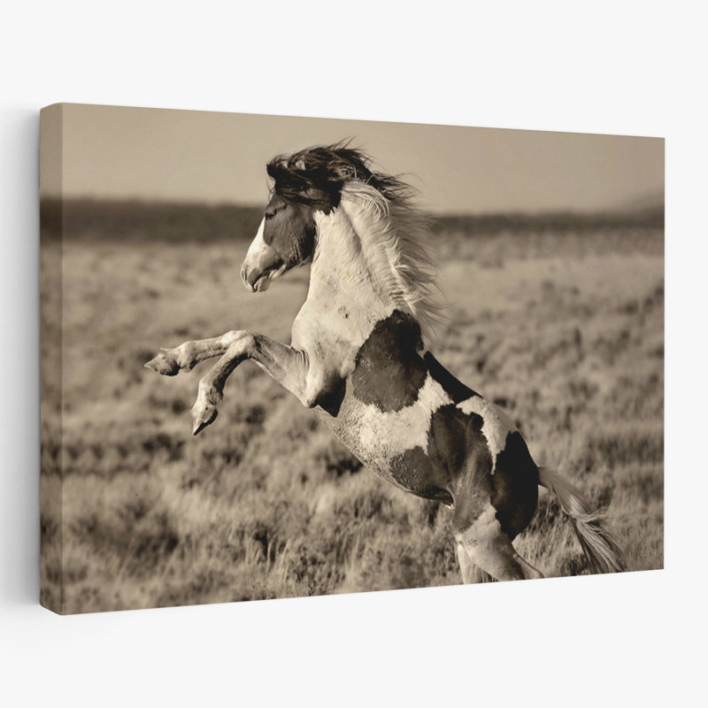 Poney sauvage peint - Photographie, chevaux, art, H 48 po x l 32 po