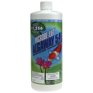 Algae Control