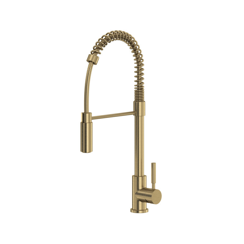 Lux Pull-Down Single Handle Kitchen Faucet with Accessories, Antique Gold