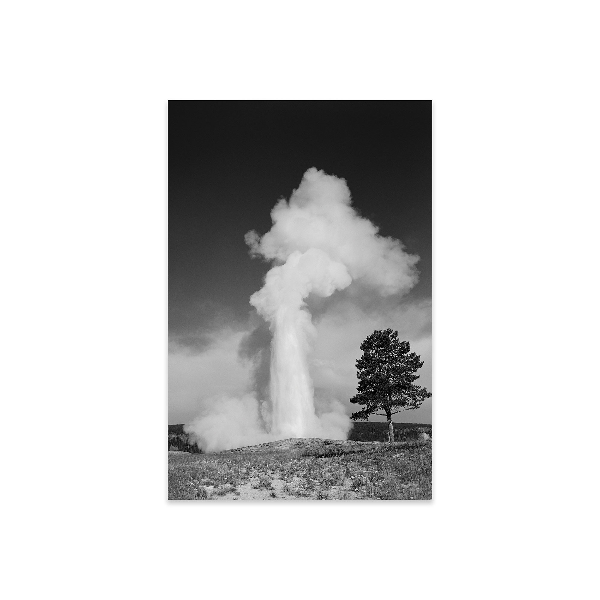 Ebern Designs 1960s Old Faithful Geyser Erupting Yellowstone National ...