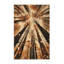 Tapis lavable à la machine de style rustique et moderne au look rétro brun et beige-145185154