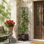 Planter Box