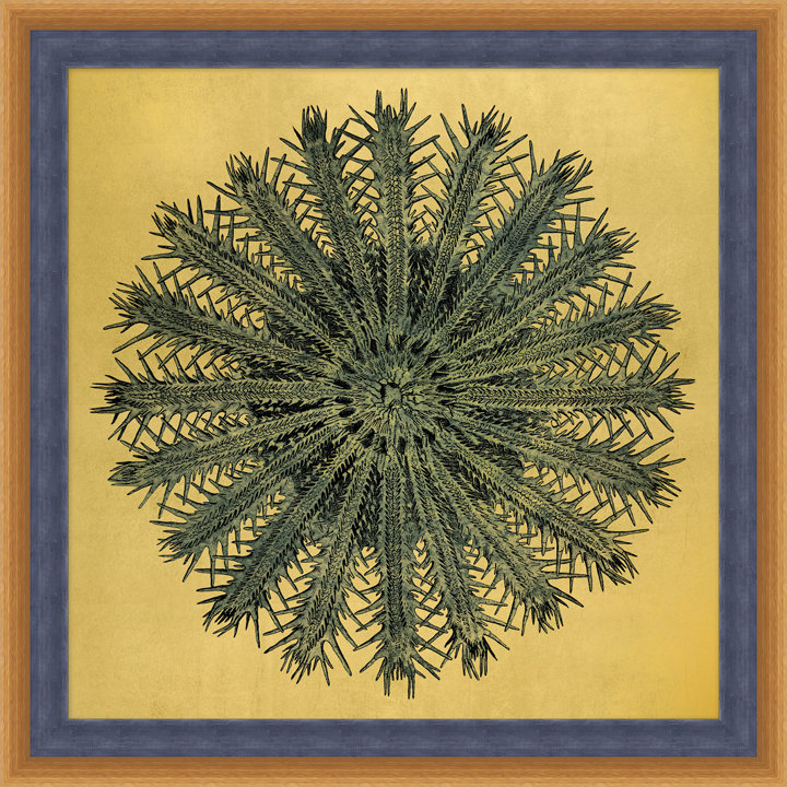 Gold Leaf Starfish 6 Print