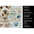Sealyham Terrier Coastal Sea Glass Kitchen Towel-871464117
