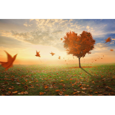 Heart Shaped Tree During Fall by Kevron2001 - Wrapped Canvas Print
