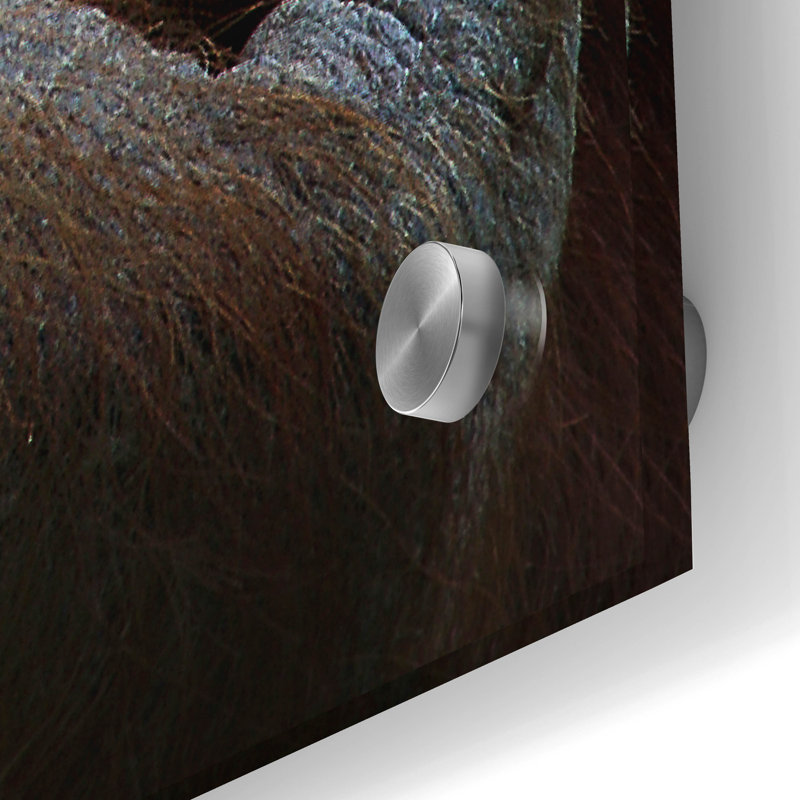 " Emotion " by SD Smart, 36" H x 24" W x 0.2" D