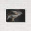 «Watchful» par Joh Naito-1009342584