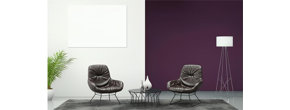 Logo Color of the face home