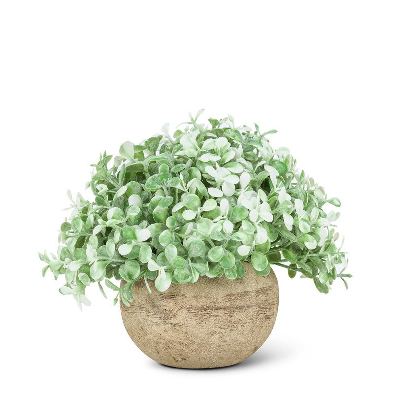Plante à feuillage artificiel 3,5 "en pot