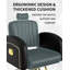 Fauteuil de salon noir et doré confortable Inbox Zero, coussins moelleux à mémoire de forme, fauteuil de coiffeur inclinable robuste avec structure en acier, fauteuil de coiffure élégant avec appui-tête amovible, capacité de poids de 440 lb