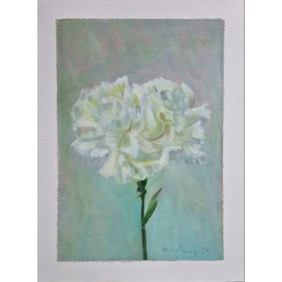 Clavel blanco