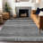 Machine Washable Indoor/Outdoor Xhevrie Gray Rug-931539386