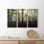 Lumière et arbres - ensemble de 3 photographies sur toile tendue-484443732