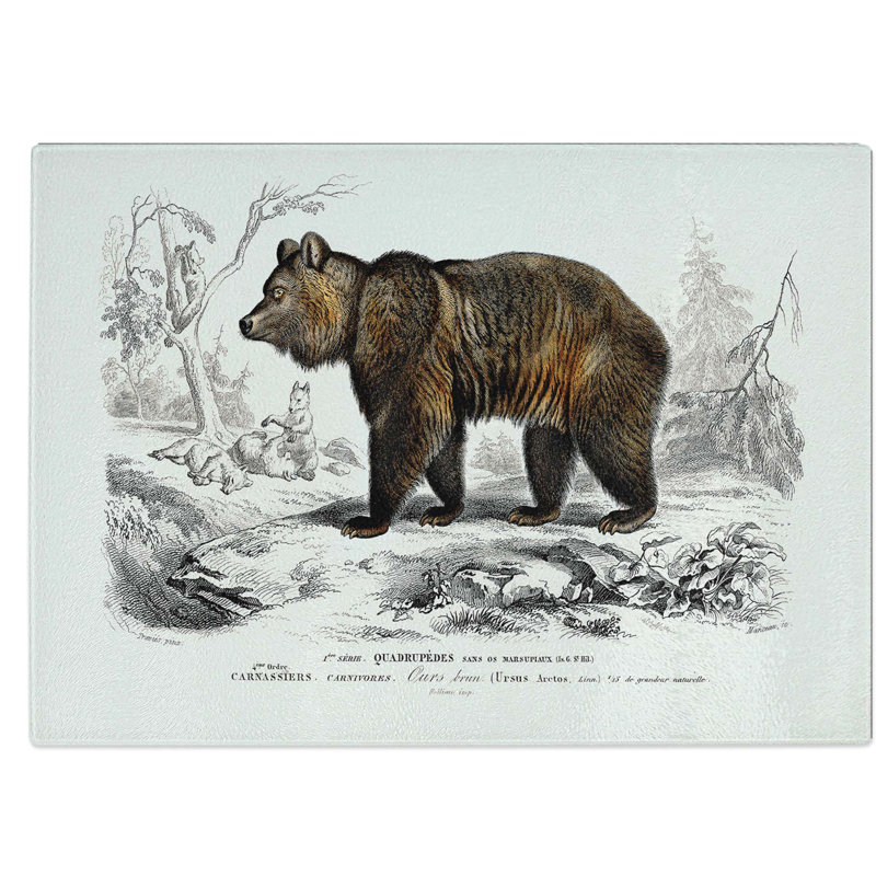 Tempered Glass Bear Chopping Board, 39 cm W x 28.5 cm L
