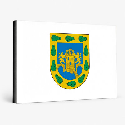 Mexico City Flag — Municipal Coat of Arms Canvas Wall Art