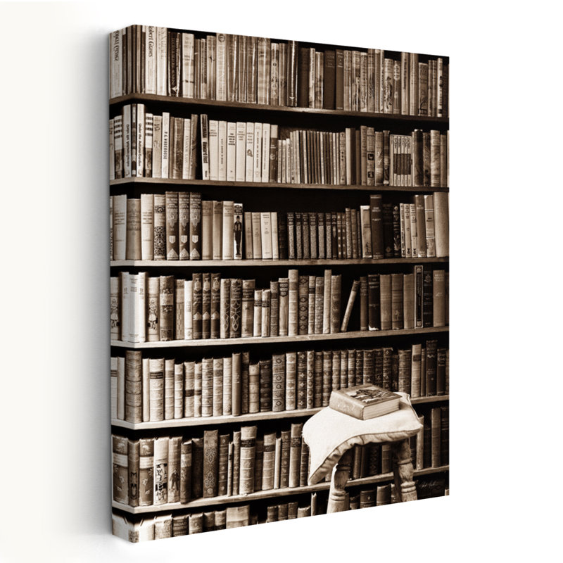 Bibliothèque, livres sur fond noir et blanc, H 36 po x l 24 po
