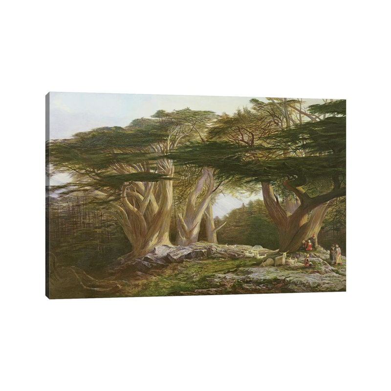 The Cedars Of Lebanon, 1861 by Edward Lear - Painting on Canvas, 20.32cm H x 30.48cm W x 1.91cm D, Wrapped Canvas