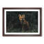 Portrait of a Fox - Framed Print-56758604-56758605