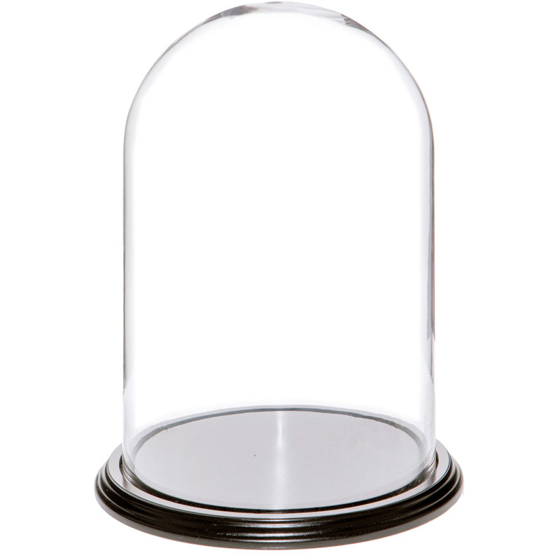 Cloche à dôme en verre 9,75 "x 15" Vucciria, Base en placage de bois noir, H 15 po x l 9,75 po x P 9,75 po