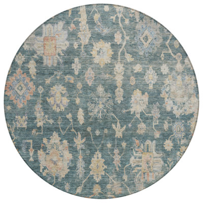Machine Washable Indoor/Outdoor Francky ACN2355 Traditional Rug
