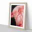 Pink Flamingo - Picture Frame Painting Print-55583964-55583967