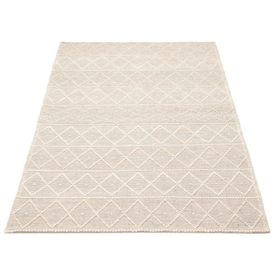 Hansdieter Performance Hand Braided Wool Rug