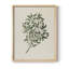 Motif floral rétro CXL III-1297683524-1297683525