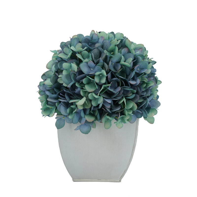 Arrangements floraux d'hortensias en pot, Turquoise antique
