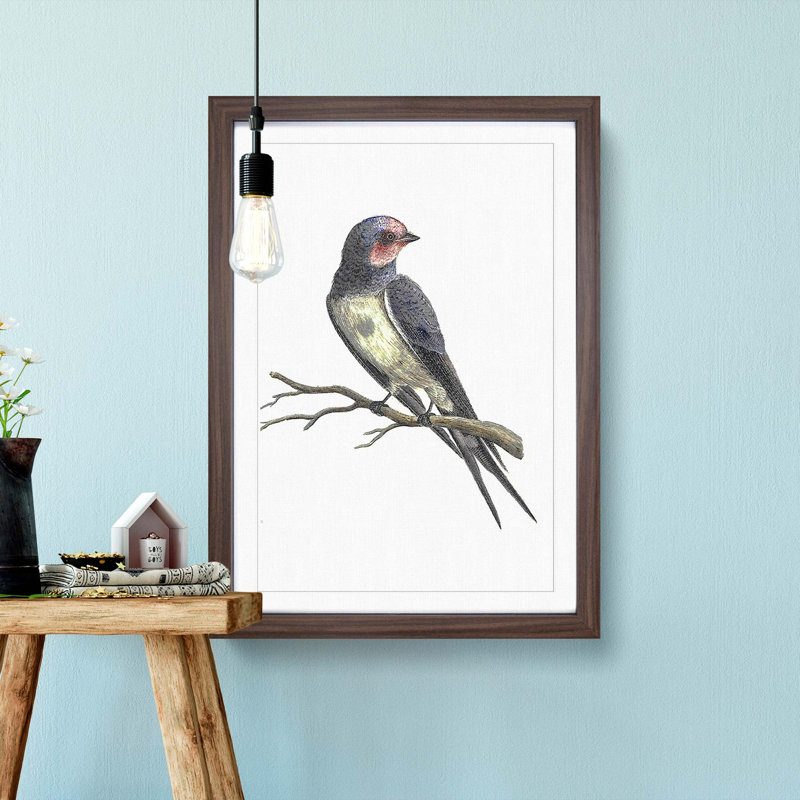 Swallow by Johan Teyler - Picture Frame Art Prints, Walnut Framed, 48cm H x 36cm W x 2cm D