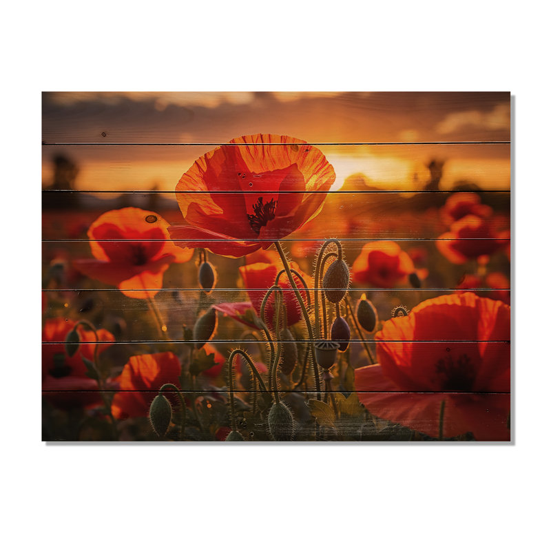 Champ de coquelicots rouges avec coucher de soleil II sur bois, H 10 po x l 20 po x P 0,78 po