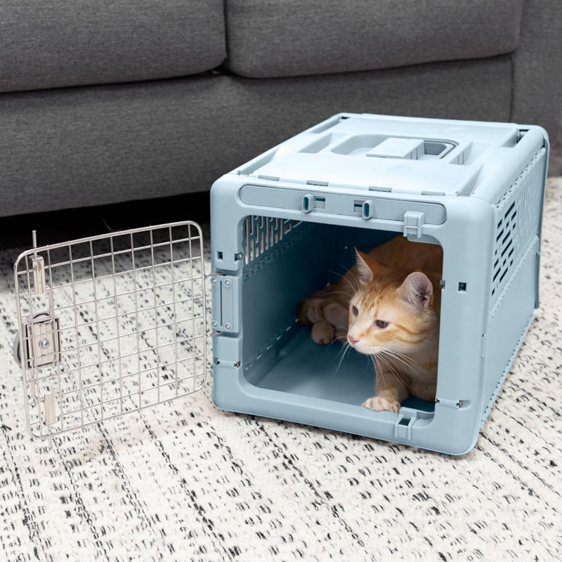 Collapsible Pet Kennel, 19" X-Small (Blue)