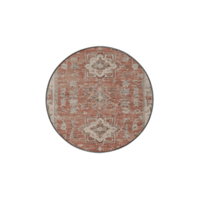 Machine Washable Gray Area Rug