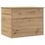 Storage Chest Home Organiser Cabinet Trunk Container Engineered Wood-392695681
