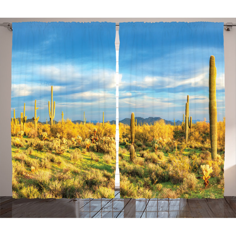 Saguaro Semi-Sheer Rod Pocket Curtain Panels, 54" x 90"