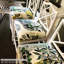 Tissu jardin d'agrumes-22437081