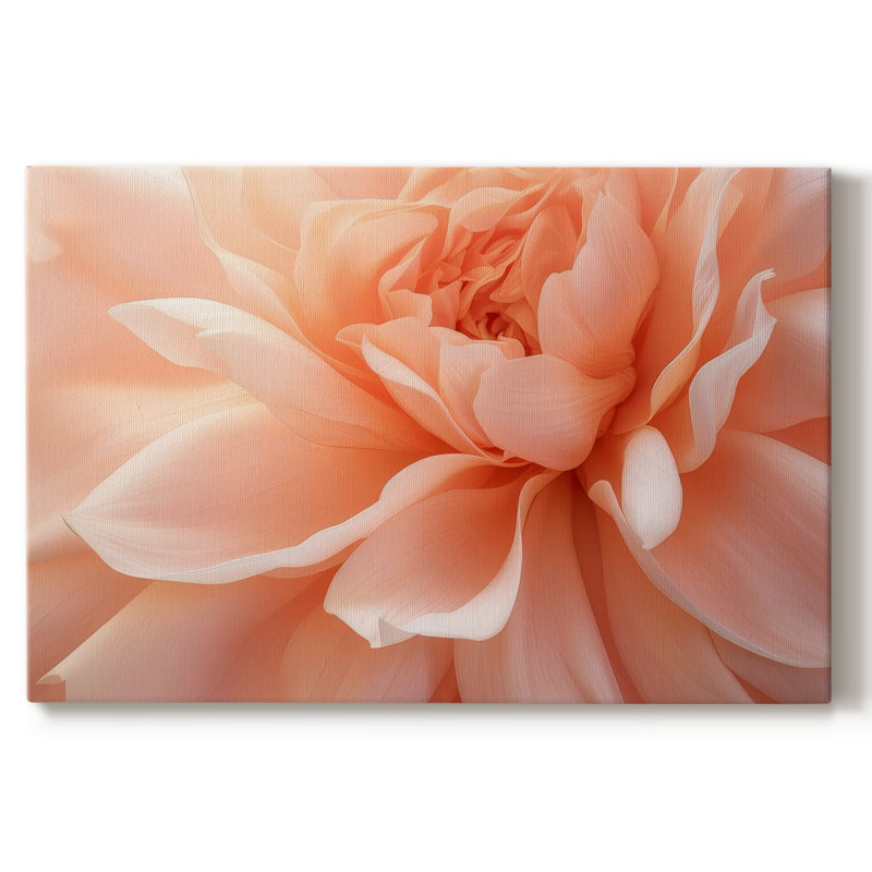 Peachy Petal Poetry II - Gala Cavas, 8 x 12