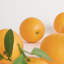 FAUX ORANGES 5 "ASSORTIS, ENSEMBLE DE 6