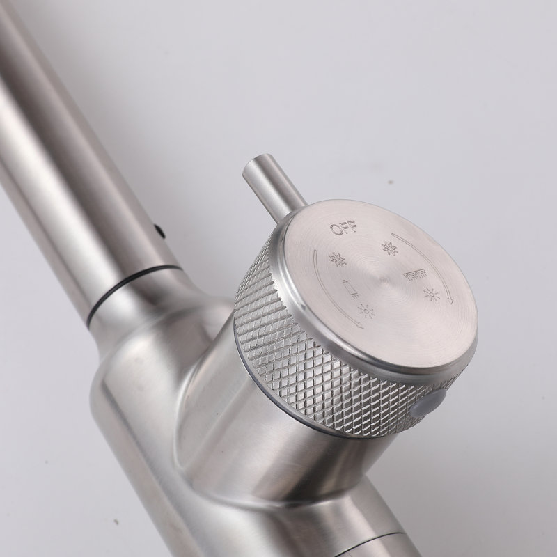 Robinet d'évier de cuisine à poignée simple avec douchette rotative, Nickel poli