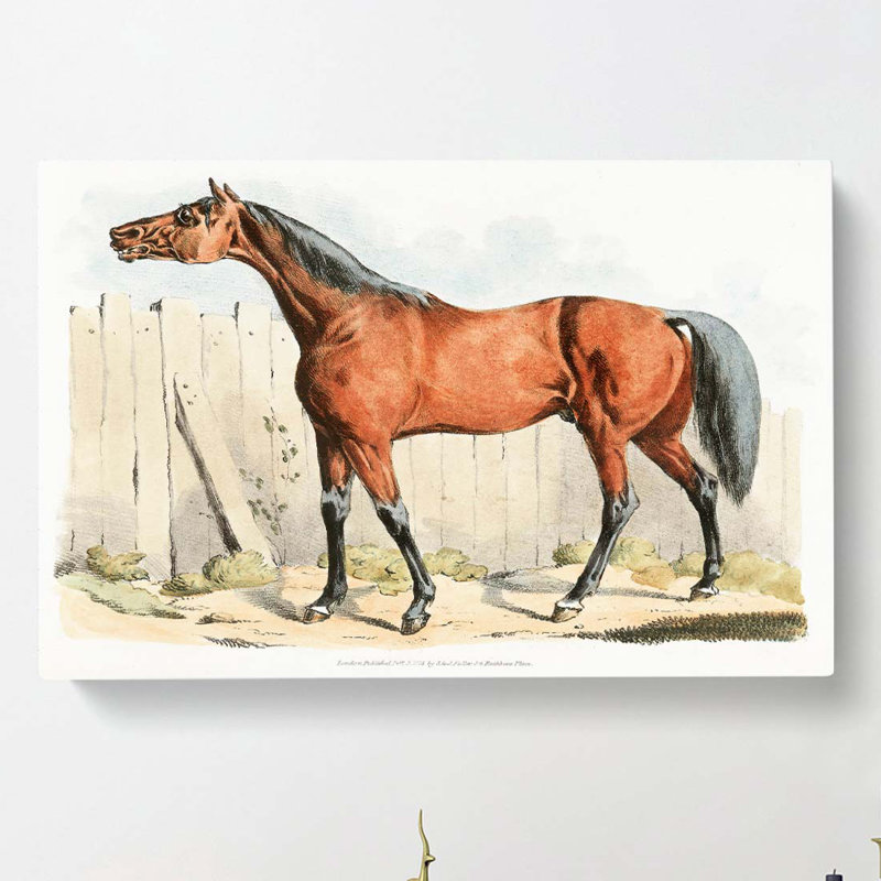 Dark-Brown Horse by Ohara Koson - Wrapped Canvas, 40cm H x 60cm W x 3cm D