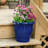 Ailynn Round Imperial Ceramic Outdoor Planter-1857609944-1857609946