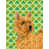 Norwich terrier (brun) sélectionné