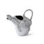 Carafe côtière