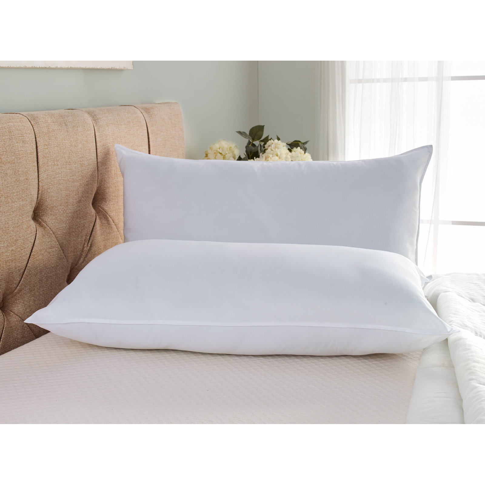 Wayfair Sleep Firm Support Pillow, Queen, Firm