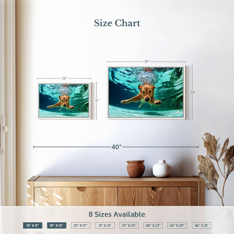 Diving Golden Retriever, Floating Frame White, 19" X 13"
