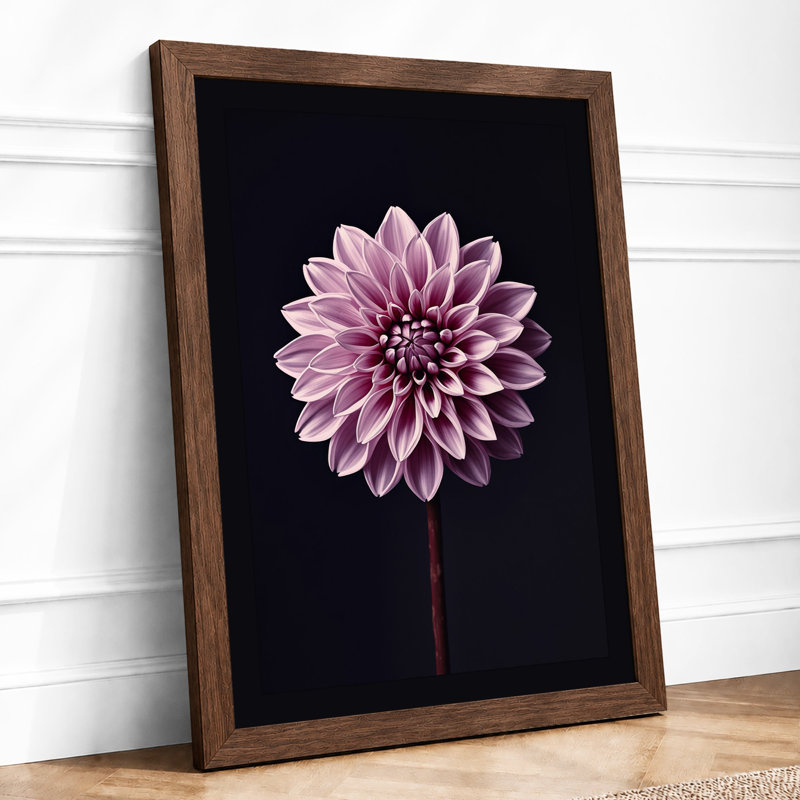 Dahlia In Focus Botanical - Print, A2 - 59.4 x 42.0 cm, Walnut