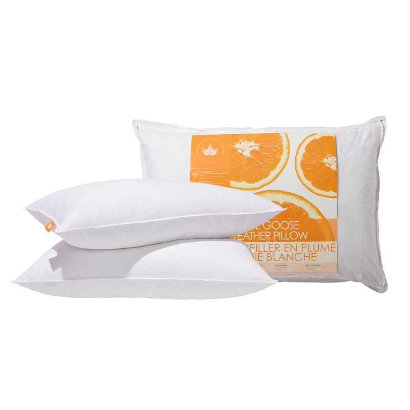 White Goose Feather Pillow - 2 Pack, Firm, Queen