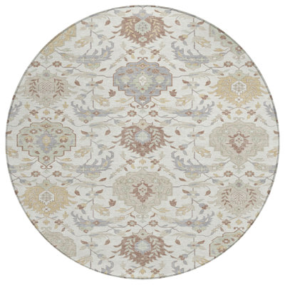  Machine Washable Indoor/Outdoor Chantille ACN1026 Rug